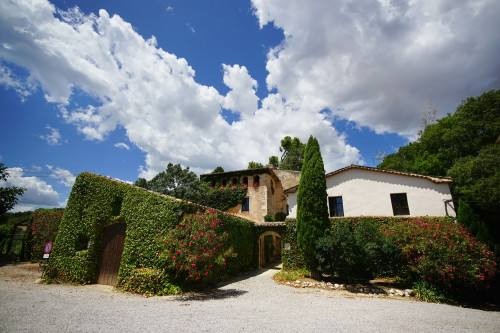 對直播和短視頻進行簡單剖析，為大家講下直播和短視頻