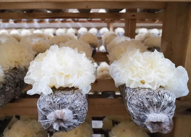 壓款”經(jīng)營(yíng)，提供一大批優(yōu)秀的一件代發(fā)貨源！