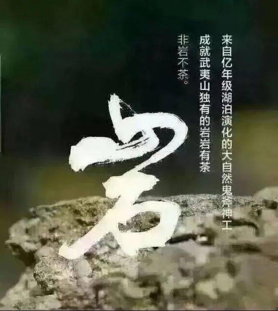 愛在情深mcn主播公會--直播行業(yè)SaaS，主要為直播行業(yè)提供智能經紀人管理系統(tǒng)