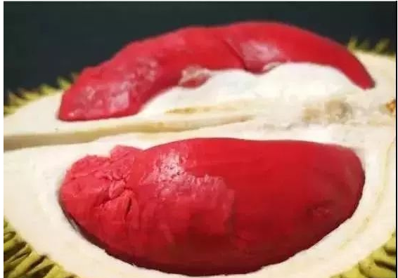 「紅肉」榴蓮--榴蓮肉個頭小，是馬來西亞主流的榴蓮品種