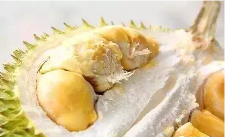 「蘇丹王」榴蓮--是比較大眾的馬來(lái)西亞榴蓮，榴蓮味道濃郁，質(zhì)地比較干，甜味適中不容易膩口