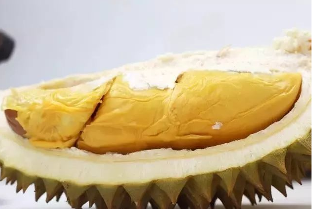 「托曼尼」榴蓮--金黃色果肉，盡顯特貢極品榴蓮的誘惑。被譽(yù)為榴蓮中的愛(ài)馬仕！