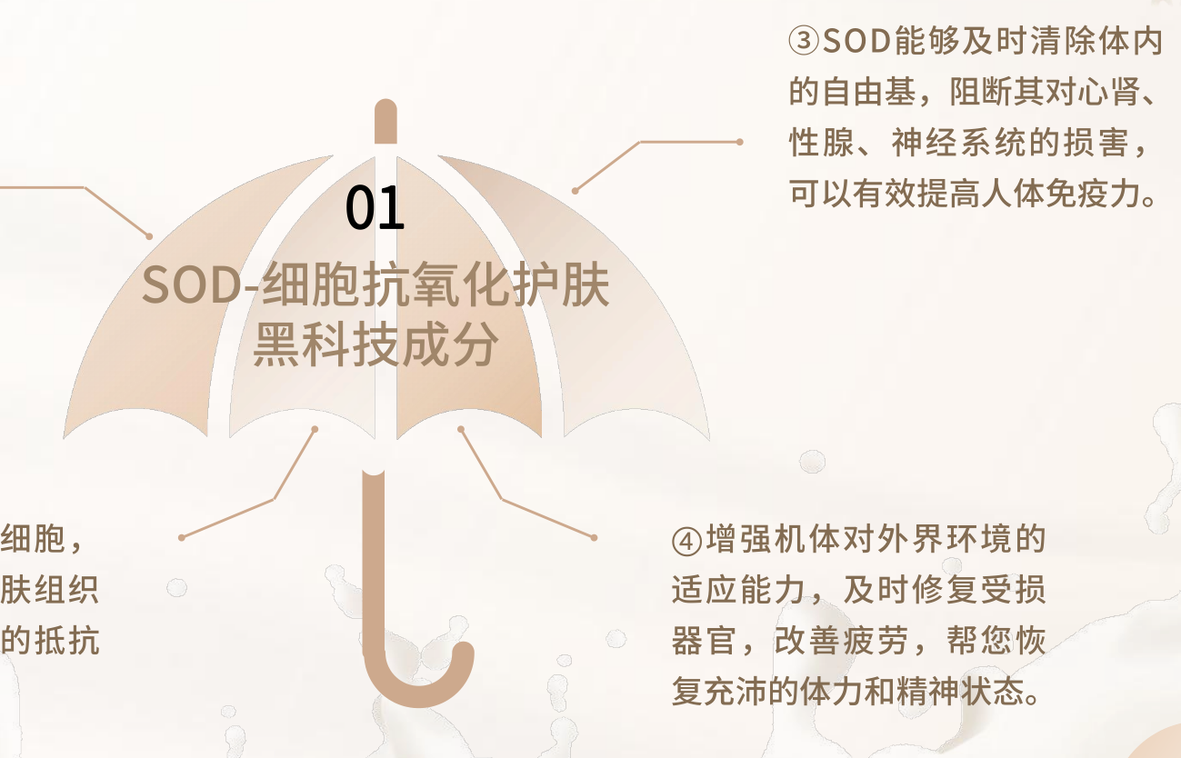 打卡石家莊最大的直播傳媒公司-- 直播基地石家莊聚星傳媒