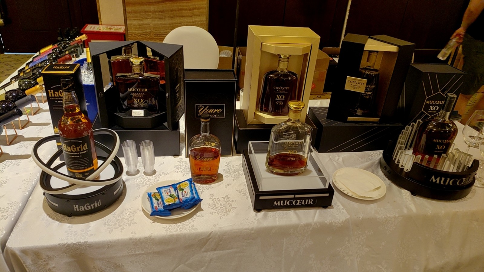 “貓一杯”的視頻 --她走到哪兒火哪兒，抖音、B站、小紅書、視頻號(hào)......各大平臺(tái)通吃