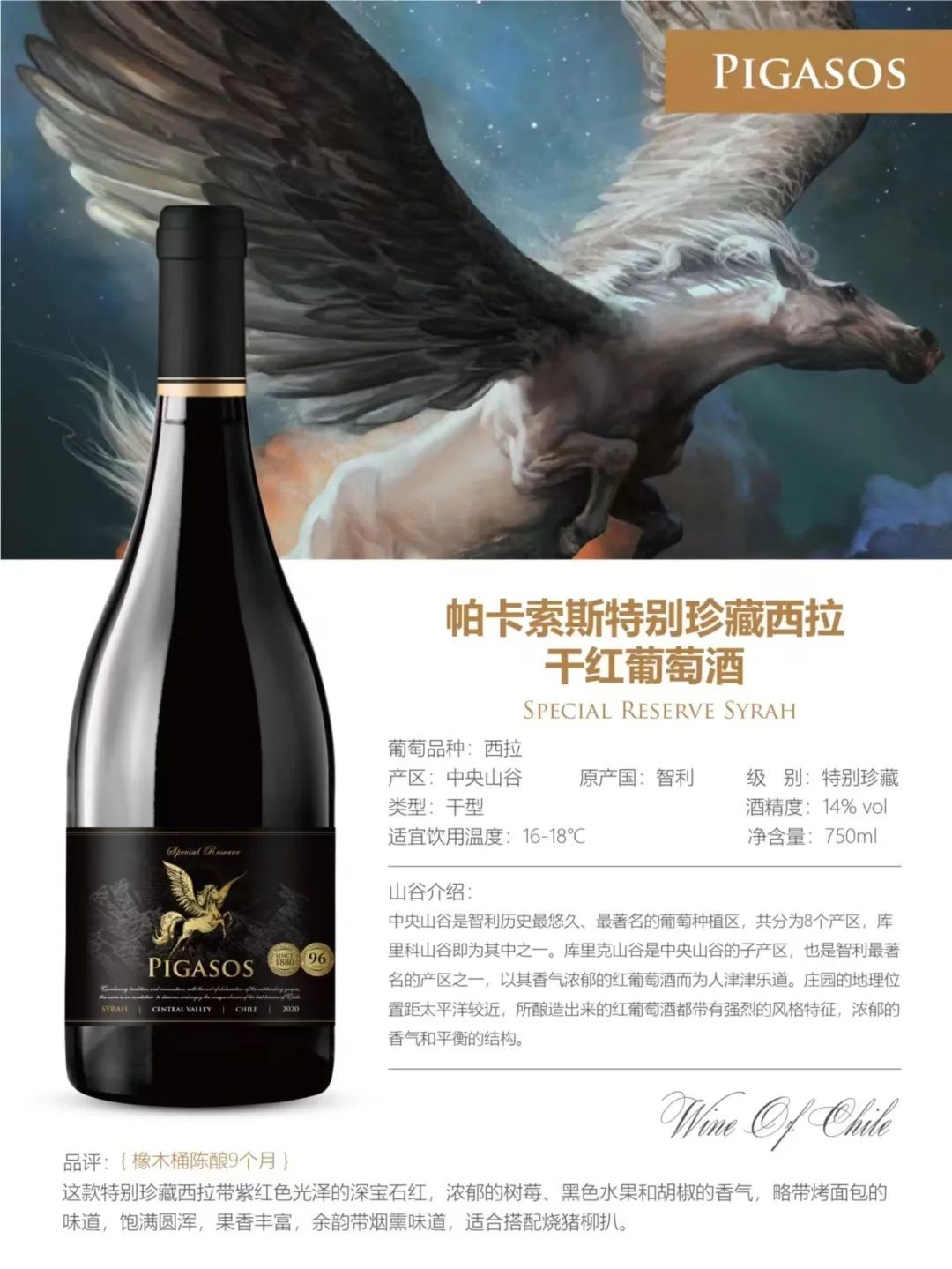 智利中央山谷PIGASOS飛馬酒莊-特別珍藏西拉干紅葡萄酒