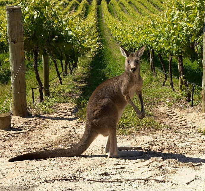 【一件代發(fā)教程】新手做一件代發(fā)的千萬不要太老實(shí)了！在做之前，我跟大家分析一下