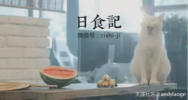 辦辦學苑：如何運用短視頻平臺？短視頻運營的玩法有什么？